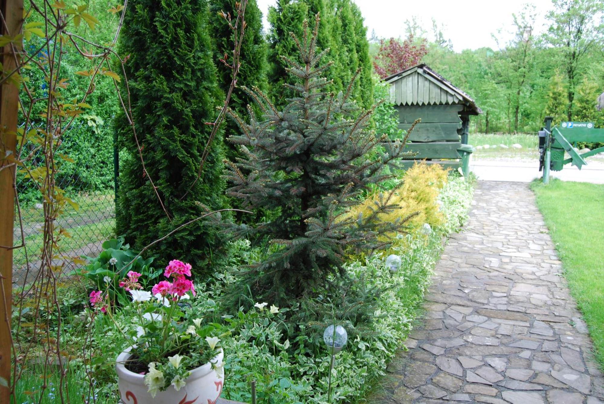 Willa Pod Bandera Zakopane Exterior photo